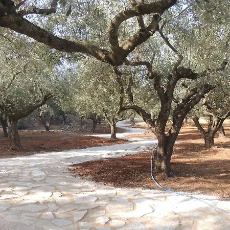 Willa Luxury The Olive Retreat